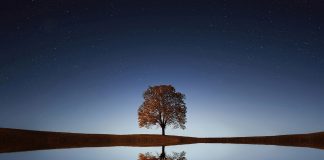 Do you KNOW what anything is?